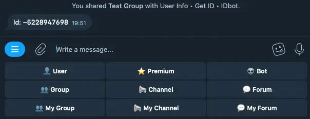 IDbot 對話視窗顯示 Group 按鈕與群組 Chat ID 回覆結果